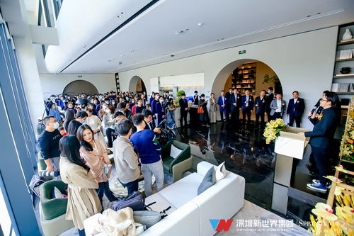 网红楼盘松风明月西部绽放，新世界集团诠释“房住不炒”服务刚需之美